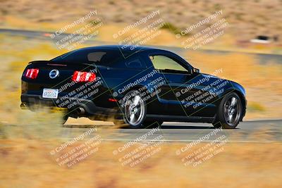media/Nov-16-2024-Extreme Speed (Sat) [[6587d07cc4]]/Gold Group/Session 2 (Turns 3 and 5)/